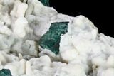 Aragonite Encrusted Fluorite Crystal Cluster - Rogerley Mine #134791-3